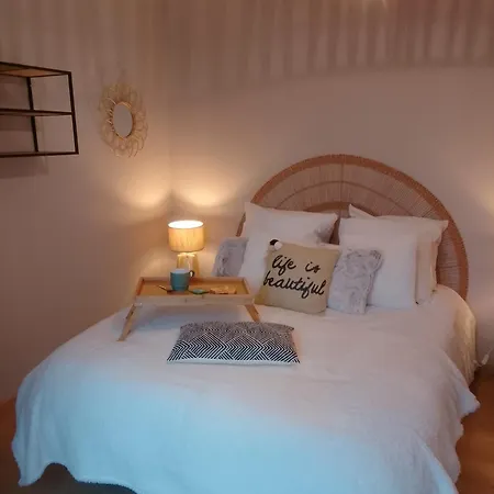 Du Pavin Apartmán *