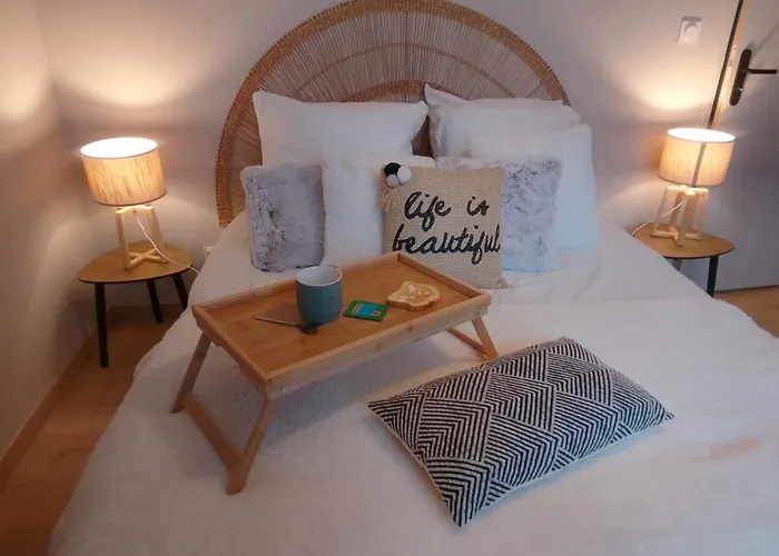 Du Pavin Appartement Besse-et-Saint-Anastaise